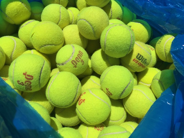Bag of bulk tennis balls for dogs