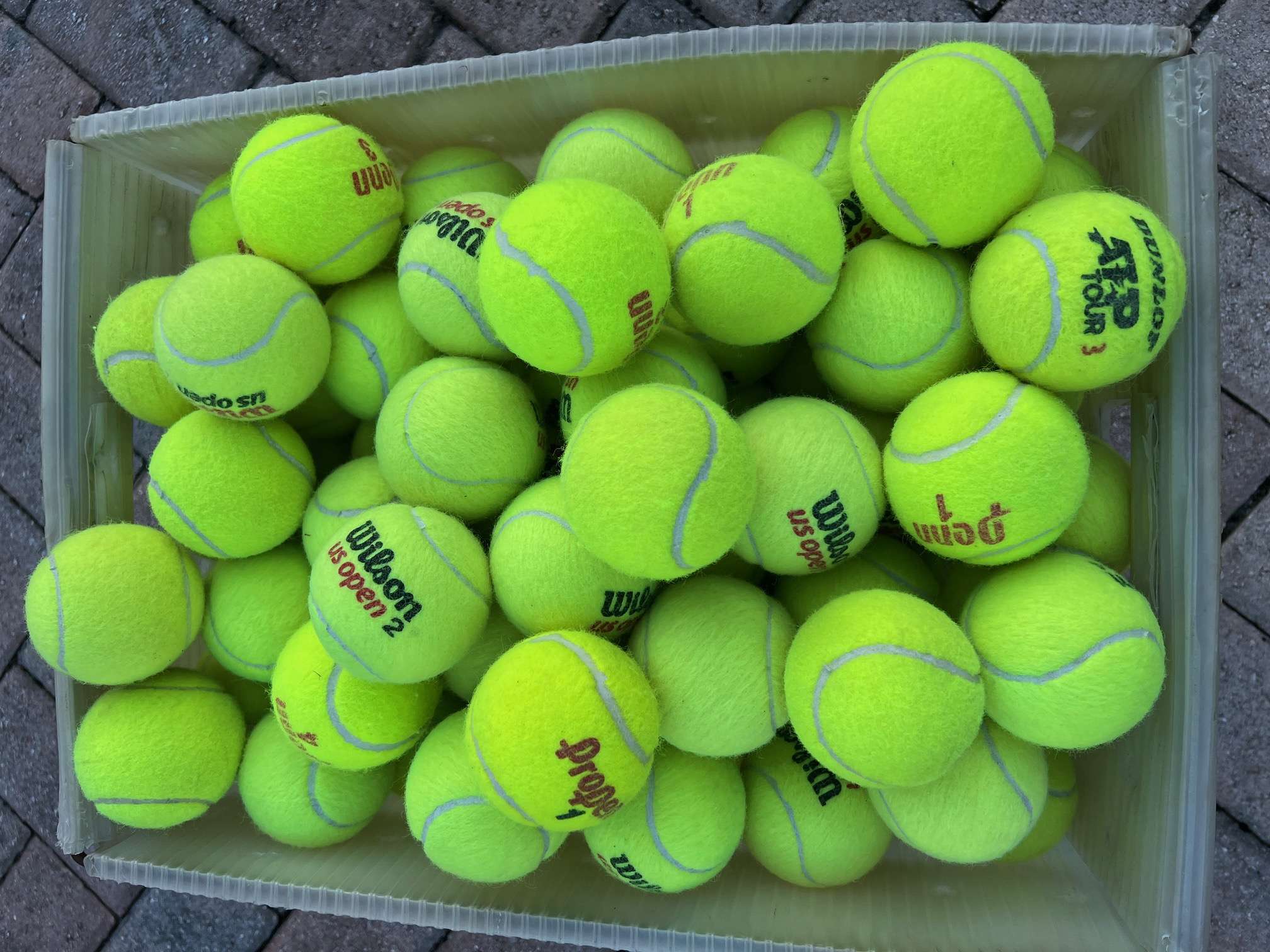 Bulk tennis balls for dogs shown together in a bin