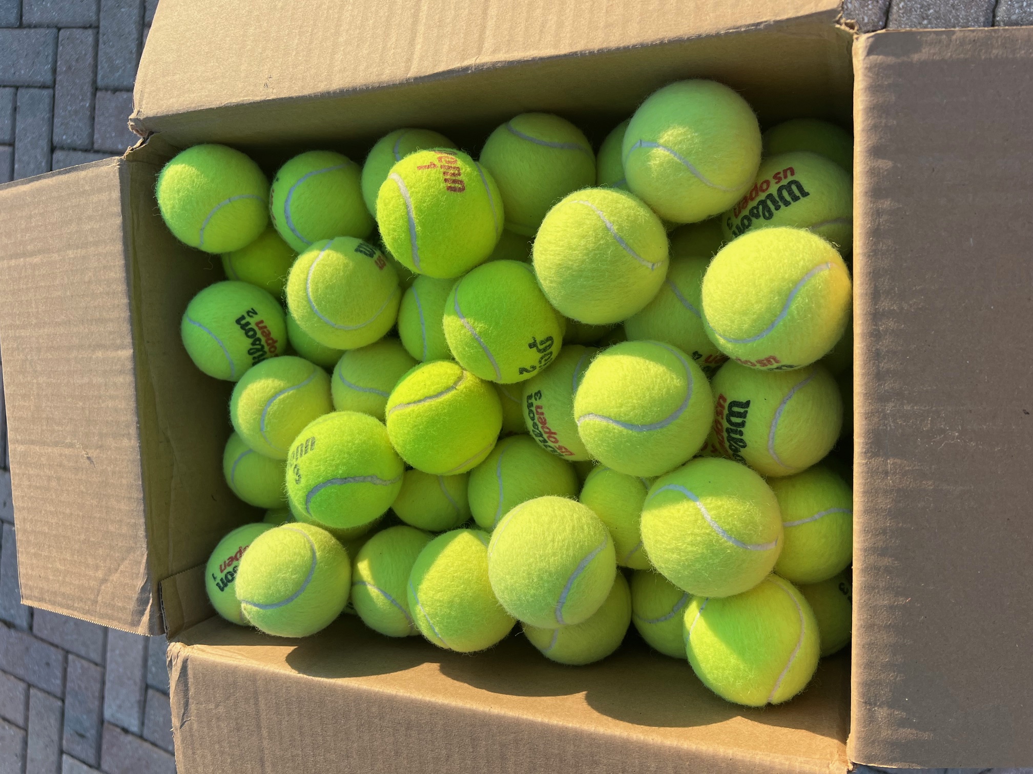 Open box of tennis balls for dogs showing boxed quantity